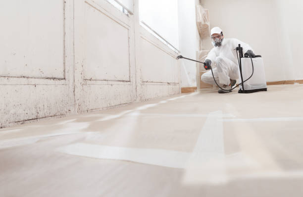 24/7 Emergency Mold Testing experts in Highland Park, MI