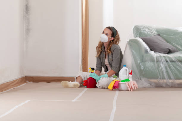 Reliable Mold Testing contractor in Highland Park, MI by WQB Mold Removal