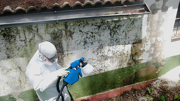 Top rated local Mold Testing specialists in Highland Park, MI